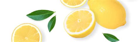 Sane Distributors Live Plant-Rare Bonsai Murcott Mandarin Orange Fruit ...