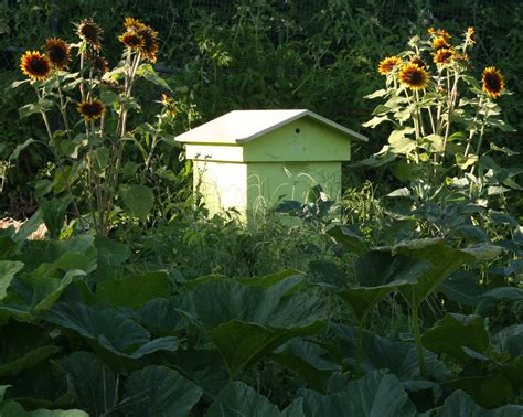 Portfolio - Melissa Bees