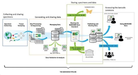 DNA Barcoding Library 的图像结果