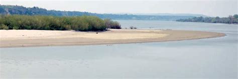 Dunavski lesni odsek