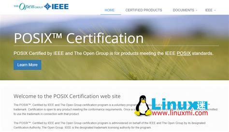 POSIX Tutorial 的图像结果