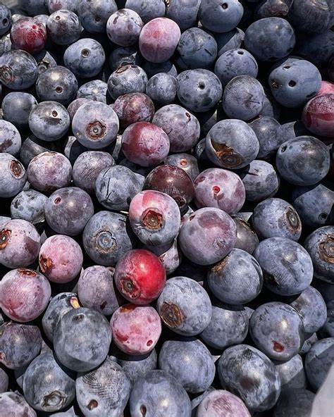 Do blueberries make you poop or fart berries stool color – Artofit