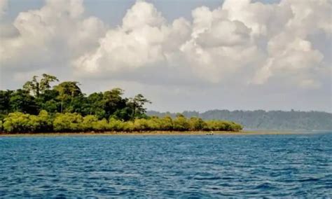 Attraction | Island Cliff Bed & Breakfast