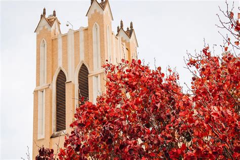 McMurry University: Admissions, Ranking, Acceptance Rate, Courses & Fees