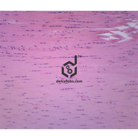 Biology – Delcolabs, India