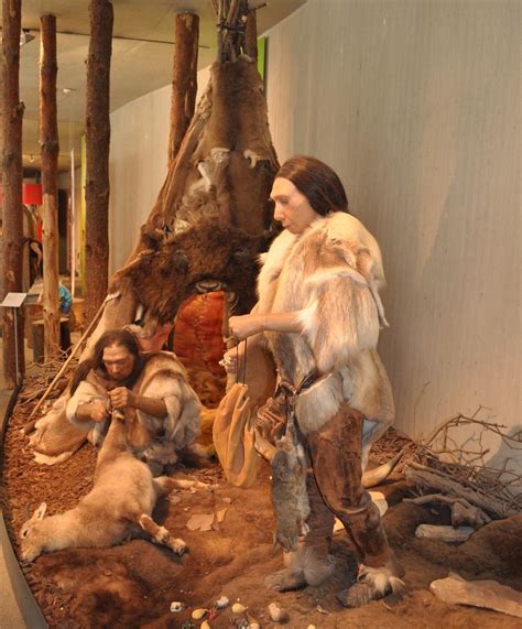 NEANDERTHAL MUSEUM (2025) All You Need to Know BEFORE You Go (with ...