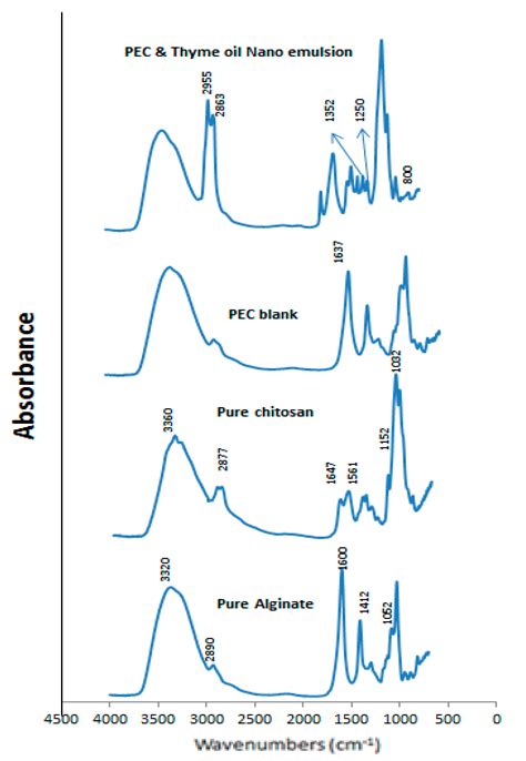 Preparation and Characterization of Chitosan–Alginate Polyelectrolyte ...