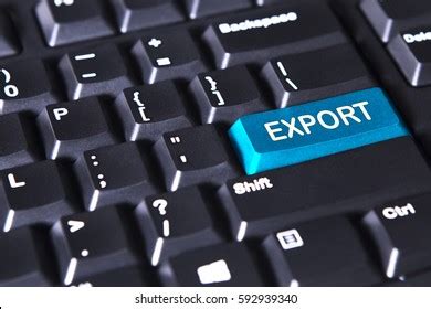 Image result for Export Button Standard