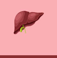 Aangdaan – Organ Donation Portal | Health & Family Welfare Department ...