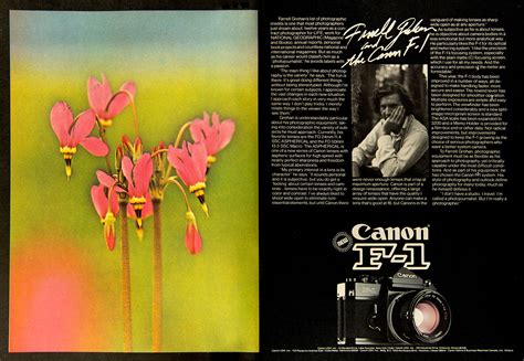 Vintage Photo Ads: Canon 1970s – Vintage Camera Digest