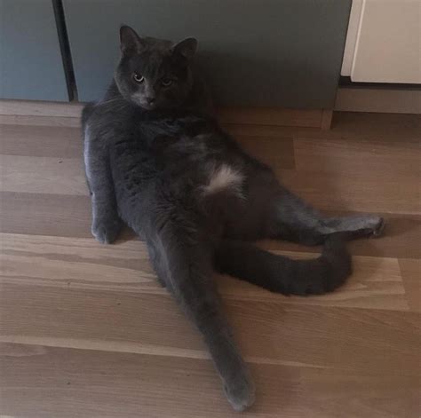 bingo 101 review sbi reddit ios,look no further than Bingo 101