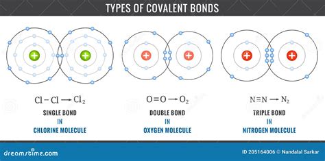 Image result for Covalent Bond Types