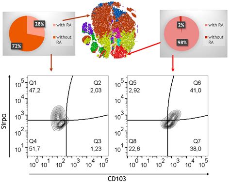 Retinoic Acid Modulates Immune Differentiation in a Human Small ...