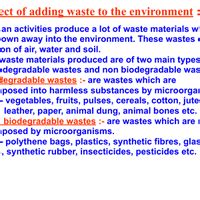 Our Environment Class 10 PPT FREE Download
