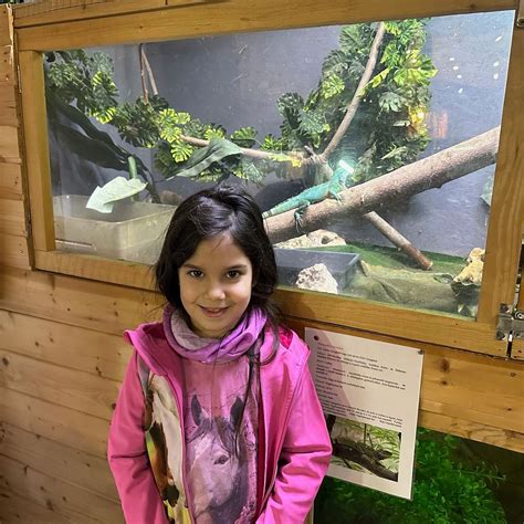 MONSTER FISH ZOO AQUARIUM TERRARIUM BUDAPEST (2024) All You Need to ...