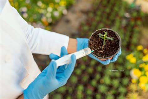 What Is Genetic Modification 的图像结果