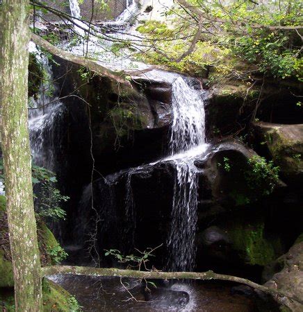 Haleyville Photos - Featured Images of Haleyville, AL - Tripadvisor