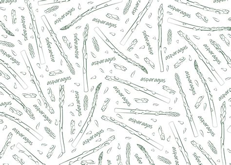 Food asparagus branches and text on a white background sample outline ...