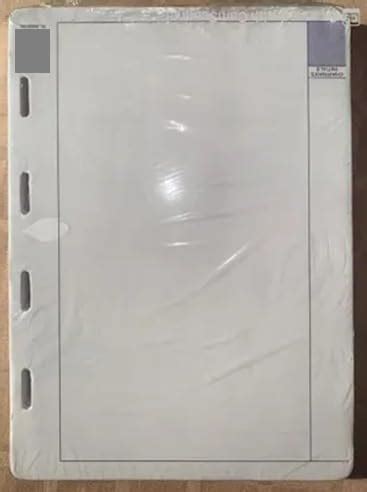 MINUTES Book Sheets (Pack of 100 pcs.) (120 GSM, A4 Size Company ...