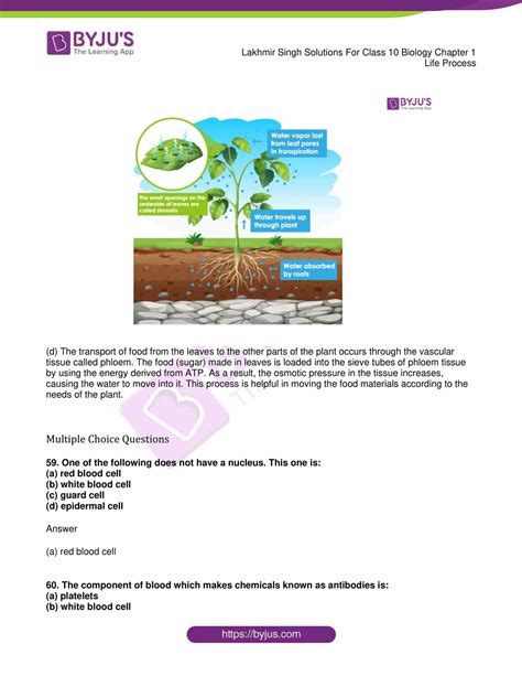 Class 10 Bio Chapter 1 的图像结果