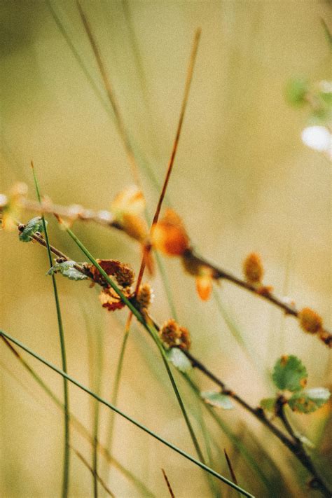 4+People+Matching+Pfp Photos, Download The BEST Free 4+People+Matching ...