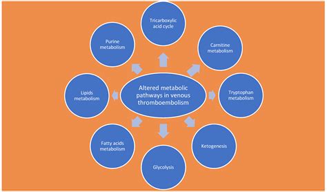 The Role of Biomarkers, Metabolomics, and COVID-19 in Venous ...