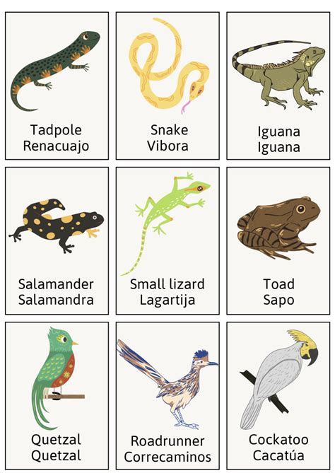 Flashcards de animales (inglés y español)