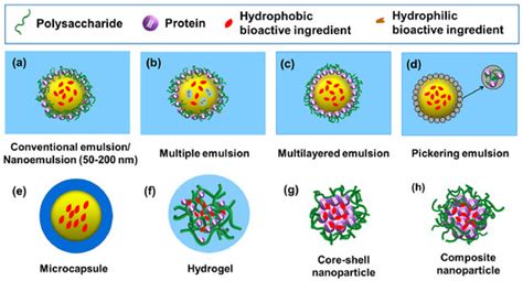 Maillard-Type Protein–Polysaccharide Conjugates and Electrostatic ...