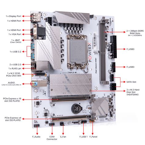 PMB-Z790-DDR5 Motherboard: Features, Specifications, and Compatibility