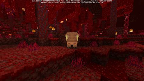 Image result for Minecraft Nether Update