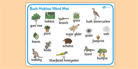 Bush Habitat Word Mat (teacher made) - Twinkl