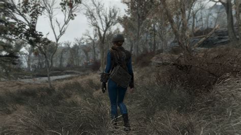 Image result for Fallout 4 06 Mod