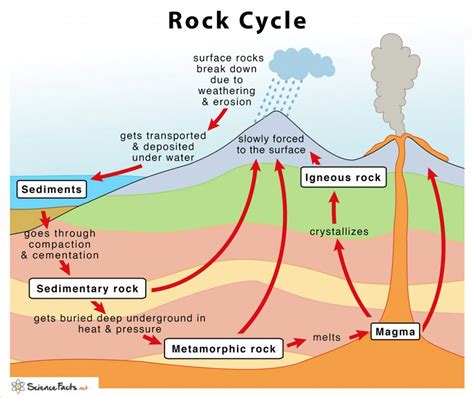 Three Types of Rocks with Examples 的图像结果