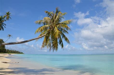 MB PALAMBAK ISLAND RESORT (Palambak Besar Island) - Resort Reviews ...