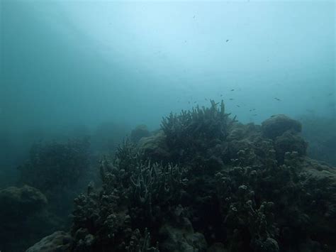 Laidenki Divers (Kolonia) - 2022 What to Know Before You Go (with ...