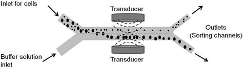 Polymer-Based Microfluidic Devices for Pharmacy, Biology and Tissue ...