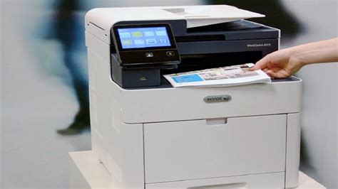 Printing & Xerox Services