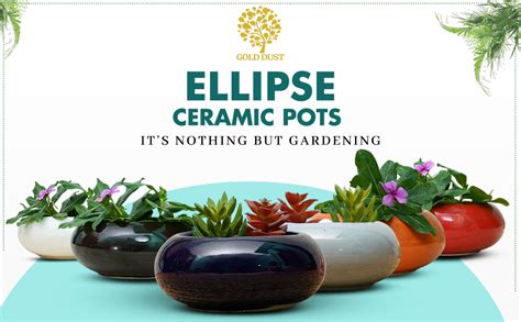 GOLD DUST Small Plant Pots, Succulent Plants Pot, Pots for Succulent ...