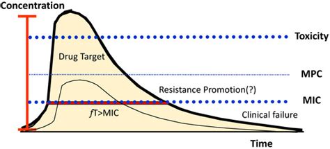 β-Lactam Dosing in Critical Patients: A Narrative Review of Optimal ...
