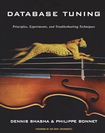 Buy Database Tuning: Principles, Experiments, and Troubleshooting ...
