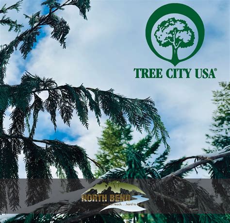 Arbor Day Foundation Trees HAPPINESS IS A BREATH OF FRESH AIR FROM A