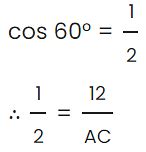 Some Application of Trigonometry Class 10 Worksheet Maths