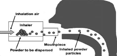 Image result for Dry Powder Inhaler Technique