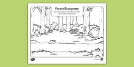 Draw the Tundra Ecosystem Worksheet for K-2nd Grade