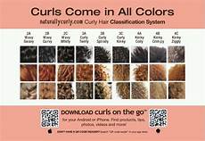 Curly Hair System by Curly Hair Classification System Curl Ville Curly Hair System