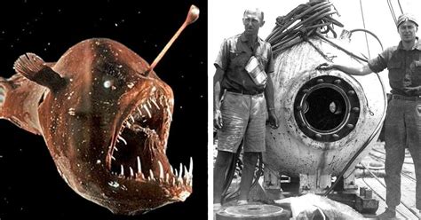 Sea Exploration 的图像结果