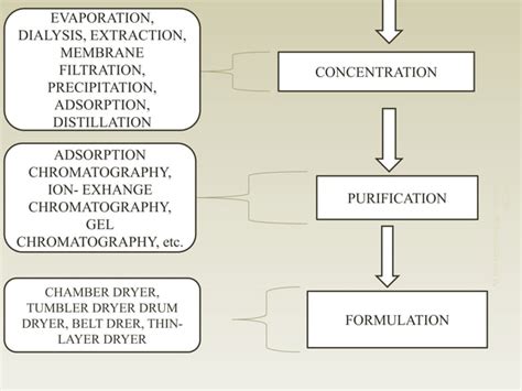 Image result for Upstream Process Definition