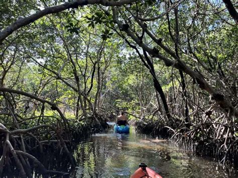Image result for Shell Key Preserve