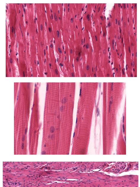 Image result for Stable Diffusion Sampling Method Comparison