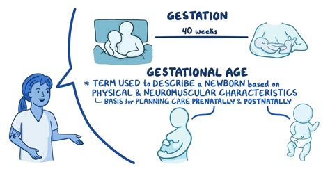 Assessment of gestational age: Nursing - Osmosis Video Library